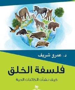 فلسلفة الخلق